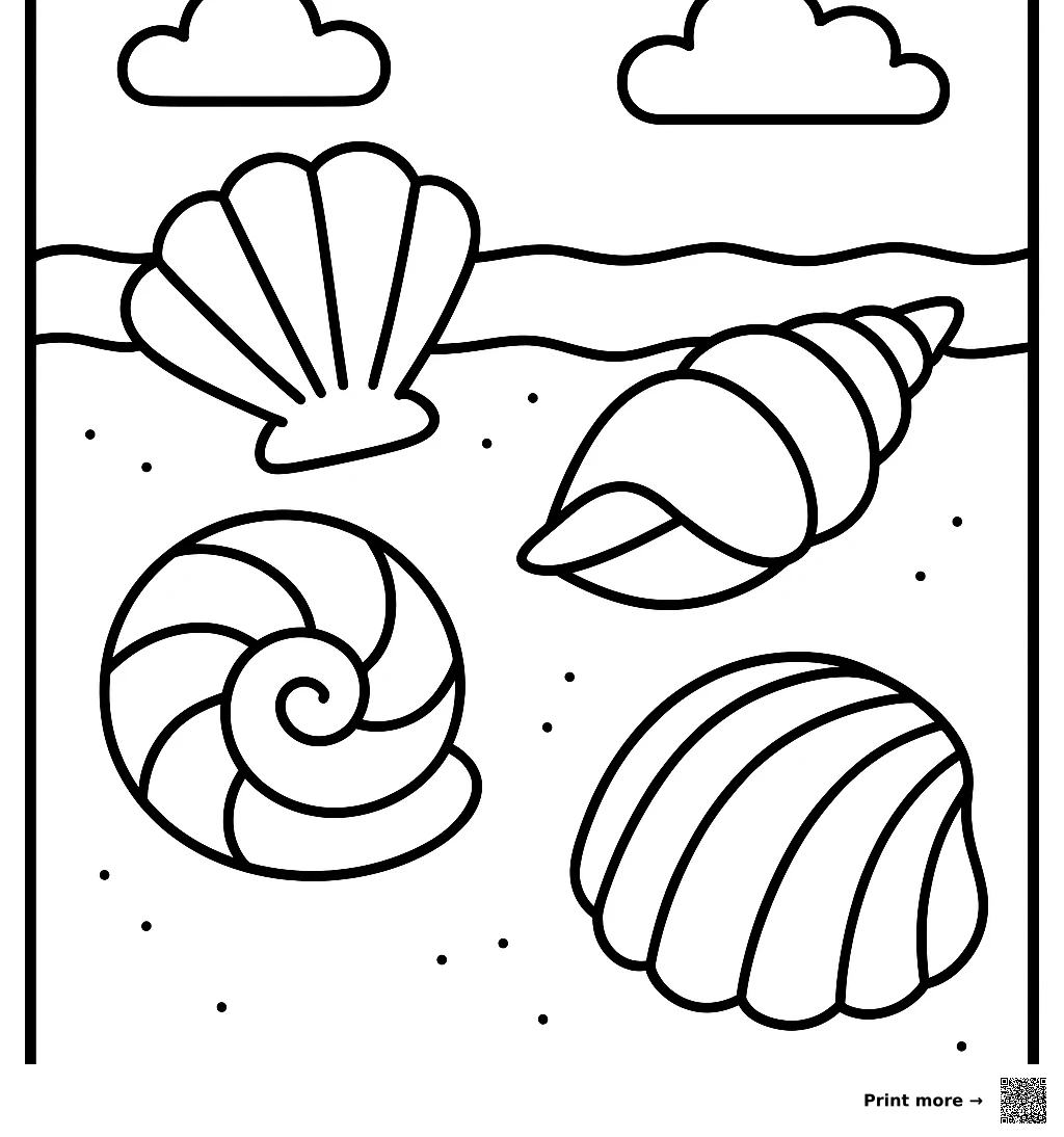 Seashells