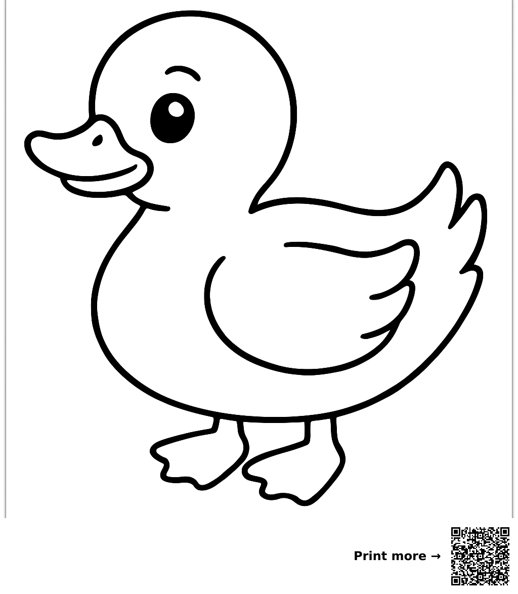 Duck