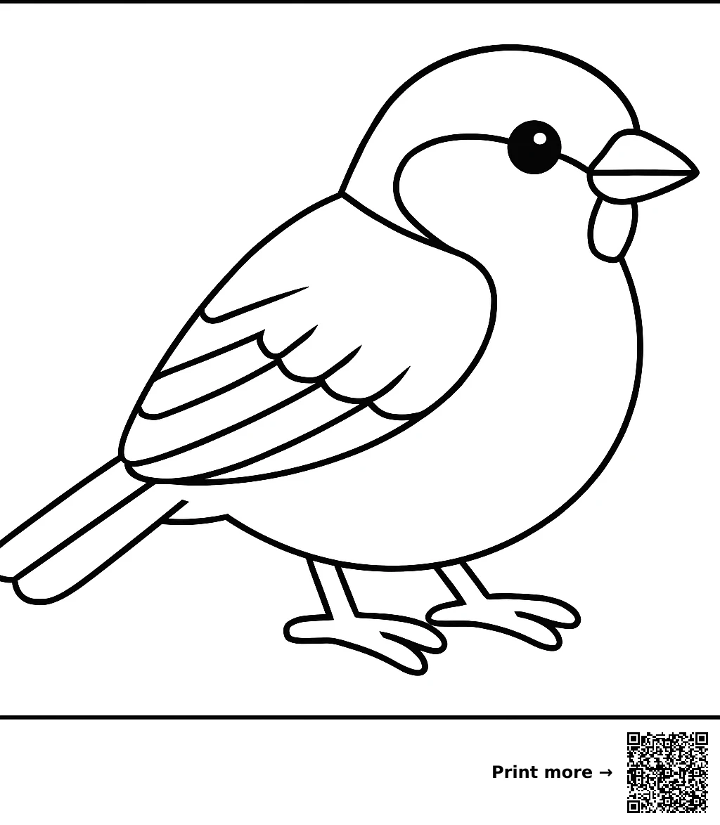 Sparrow